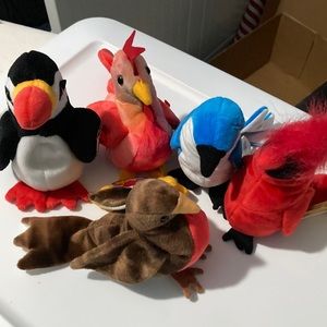 Ty Beanie Babies set of five various birds